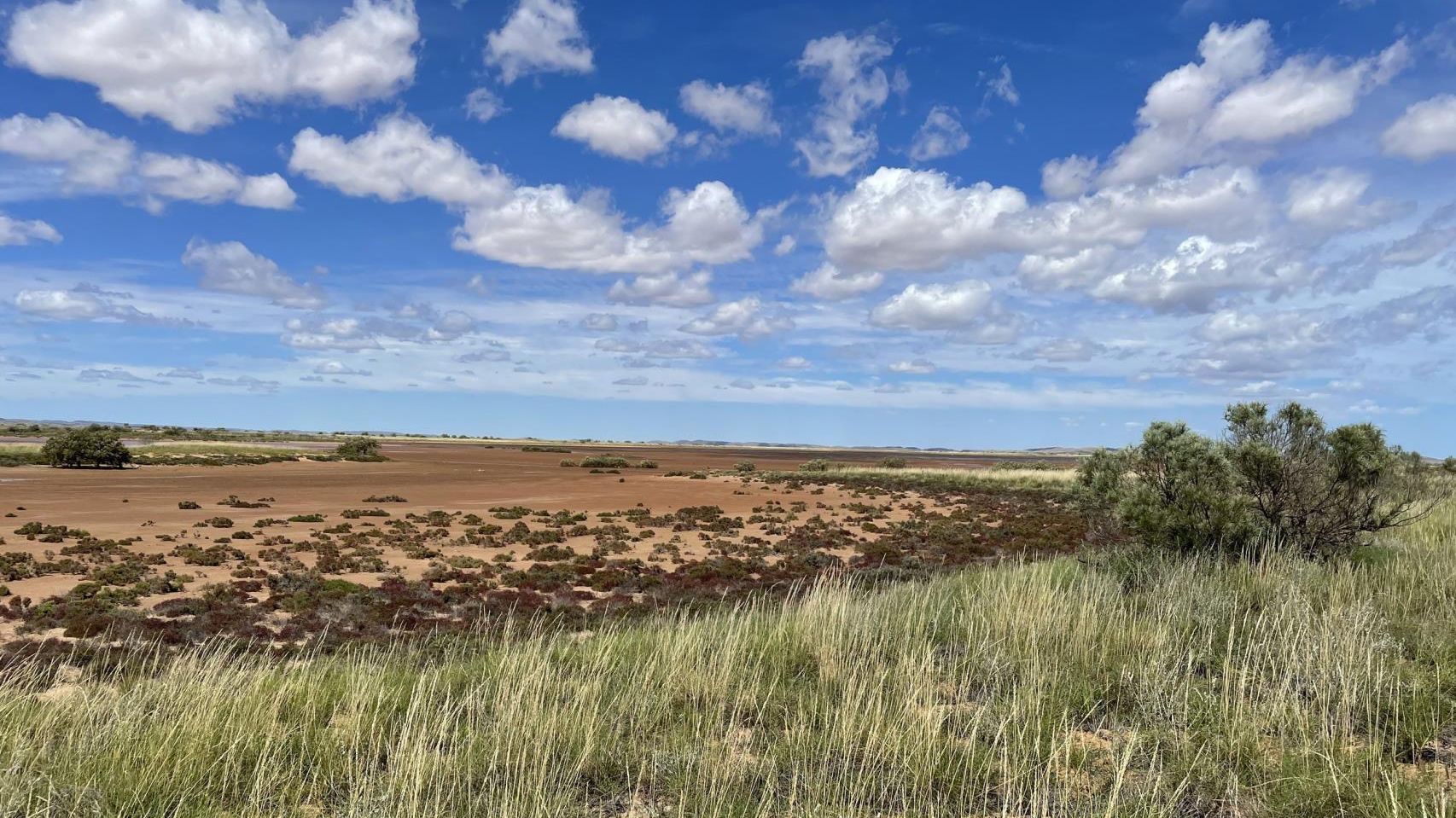 Description of image